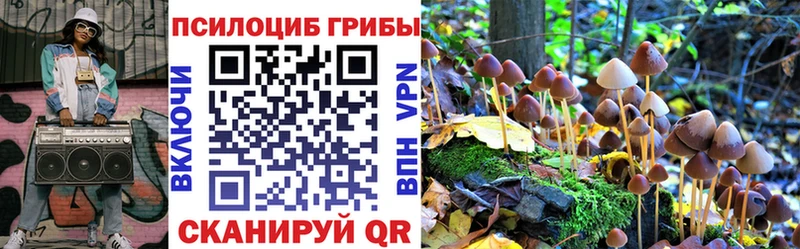 Галлюциногенные грибы Psilocybine cubensis  MEGA tor  Суоярви  наркотики 